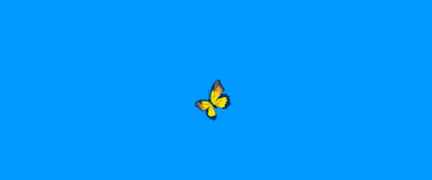 飞来飞去的蝴蝶flash透明素材