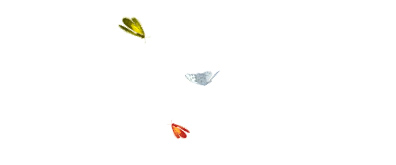 三只飞舞的彩色蝴蝶flash素材
