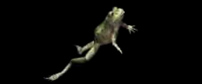 跳跃行走的青蛙flash素材