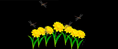 鲜花,蜻蜓flash透明素材