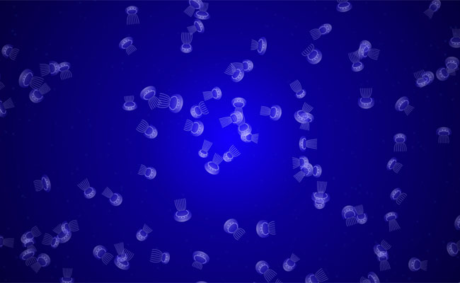 html5 canvas游动的水母动画特效