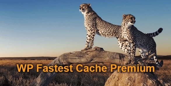 WP Fastest Cache Premium最新版Wor